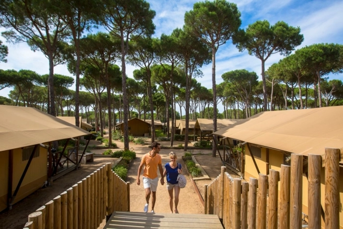 zobacz camping - zdjęcie 11