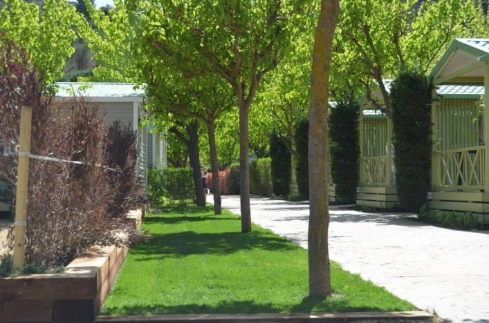 zobacz camping - zdjęcie 12