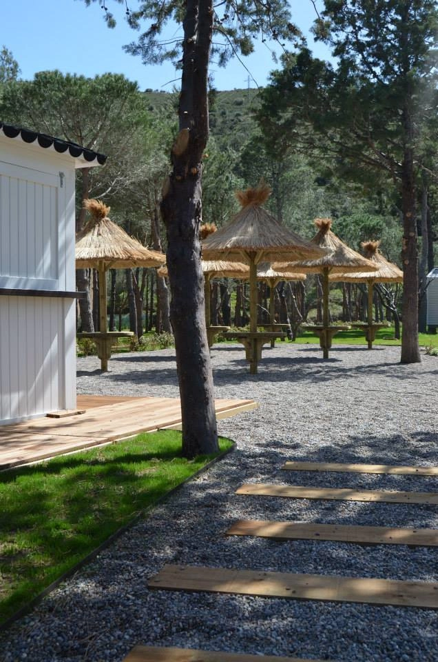 zobacz camping - zdjęcie 11