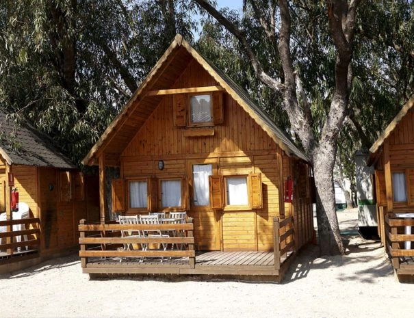 zobacz camping - zdjęcie 20