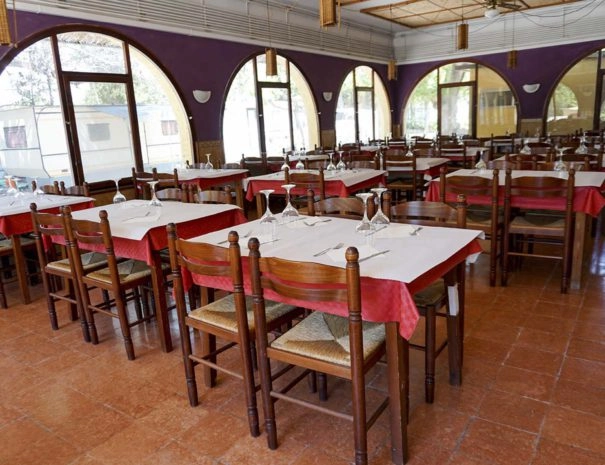 zobacz camping - zdjęcie 6