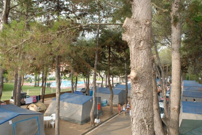 zobacz camping - zdjęcie 36