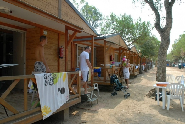 zobacz camping - zdjęcie 21