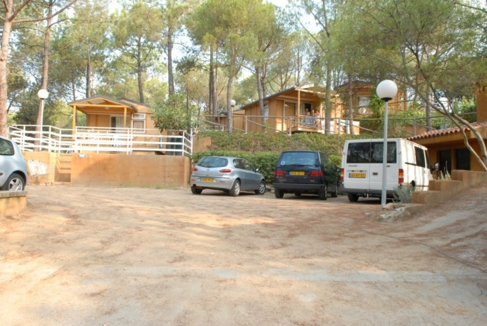 zobacz camping - zdjęcie 12