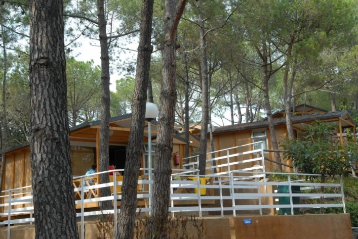 zobacz camping - zdjęcie 9