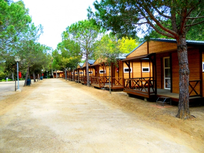 zobacz camping - zdjęcie 7