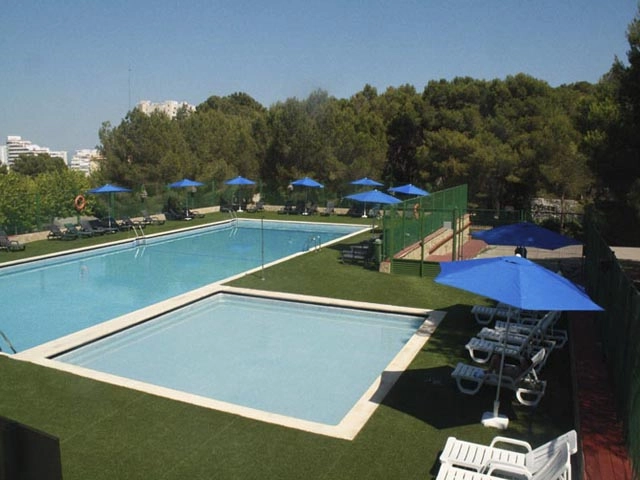 zobacz camping - zdjęcie 12