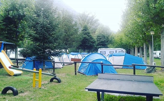 zobacz camping - zdjęcie 16