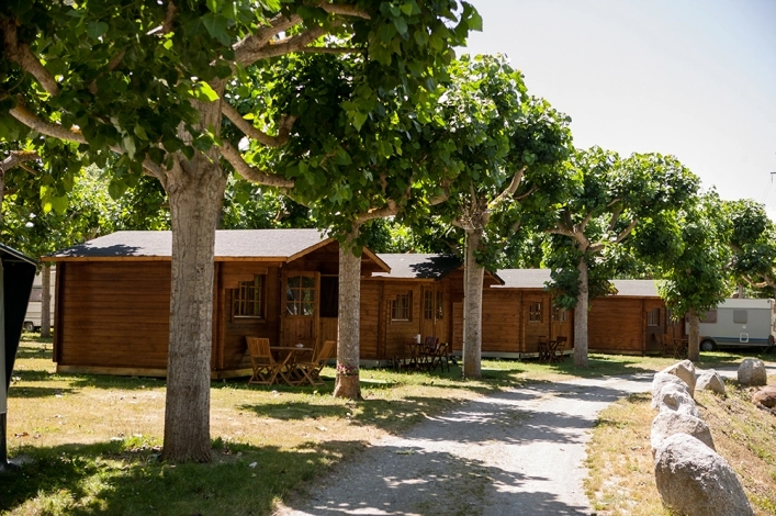 zobacz camping - zdjęcie 14