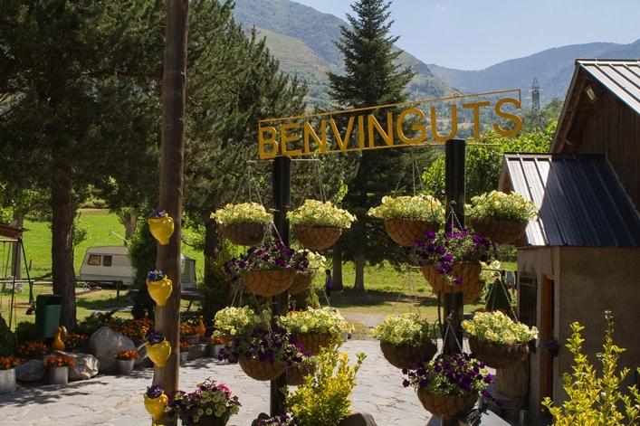 zobacz camping - zdjęcie 9