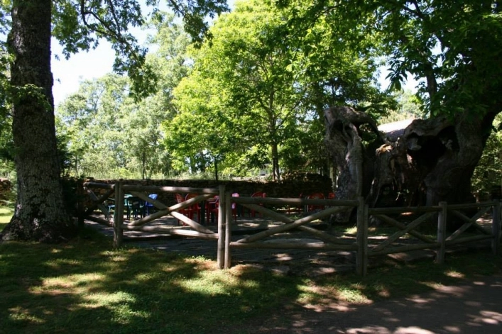 zobacz camping - zdjęcie 14