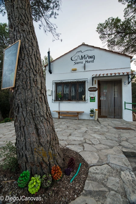 zobacz camping - zdjęcie 16