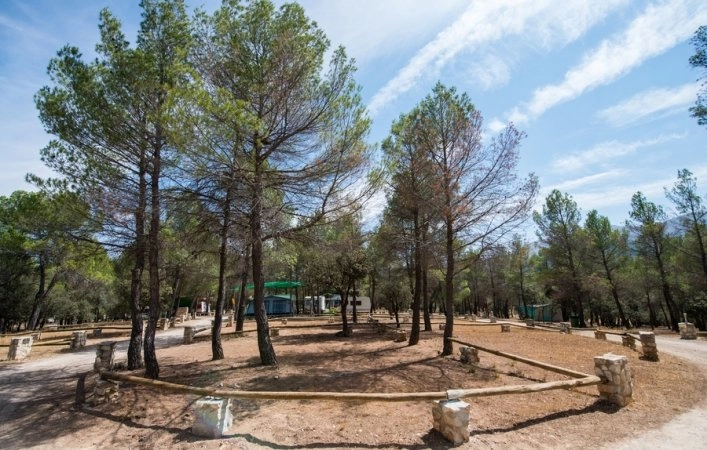 zobacz camping - zdjęcie 14