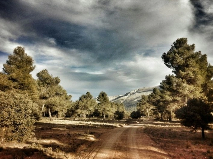 zobacz camping - zdjęcie 8