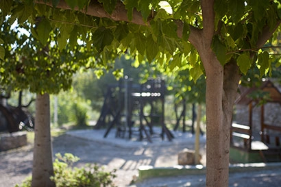 zobacz camping - zdjęcie 13