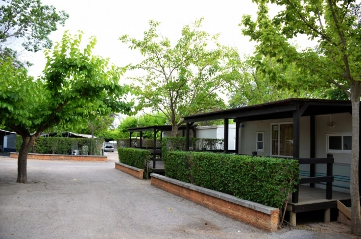 zobacz camping - zdjęcie 10