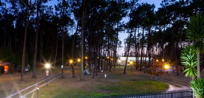 zobacz camping - zdjęcie 12