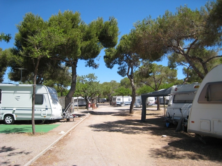 zobacz camping - zdjęcie 15