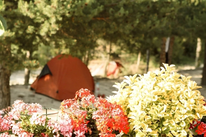 zobacz camping - zdjęcie 4