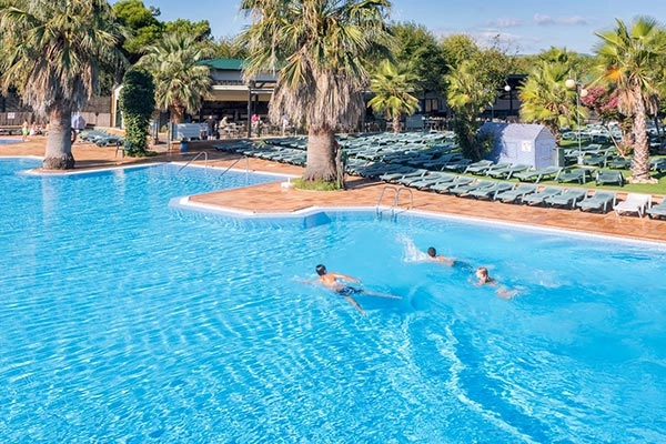 zobacz camping - zdjęcie 26