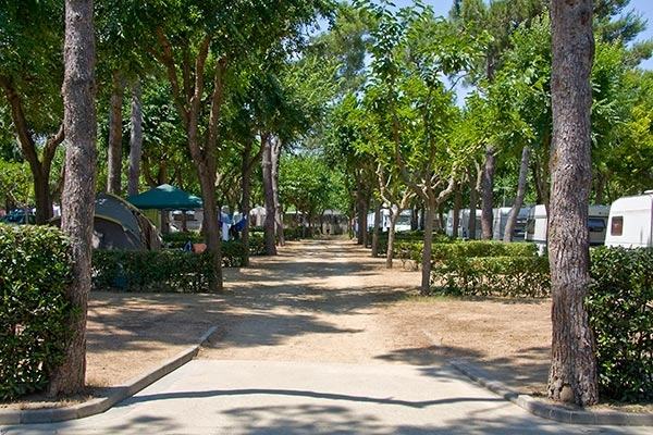 zobacz camping - zdjęcie 24