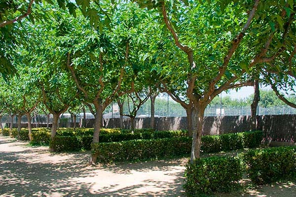 zobacz camping - zdjęcie 20