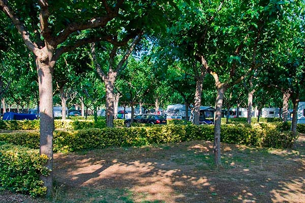 zobacz camping - zdjęcie 14