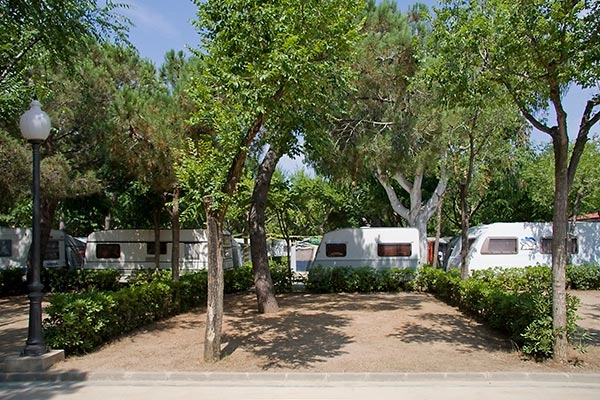 zobacz camping - zdjęcie 12