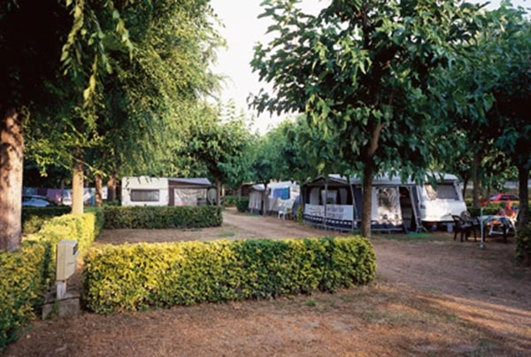 zobacz camping - zdjęcie 11