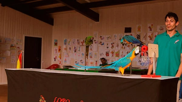 zobacz camping - zdjęcie 10