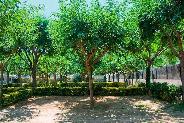 zobacz camping - zdjęcie 4