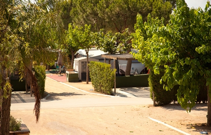 zobacz camping - zdjęcie 15