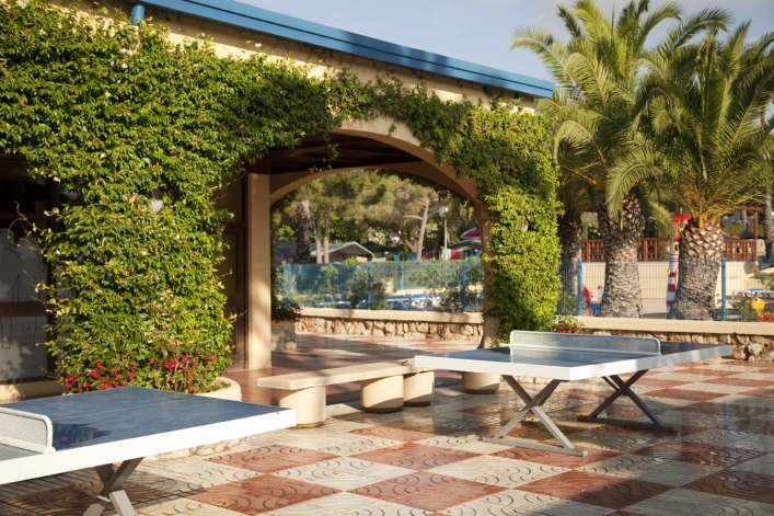 zobacz camping - zdjęcie 12