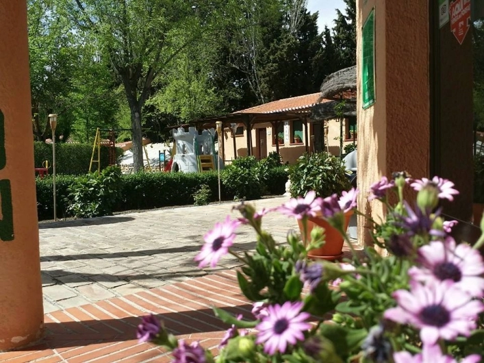 zobacz camping - zdjęcie 17