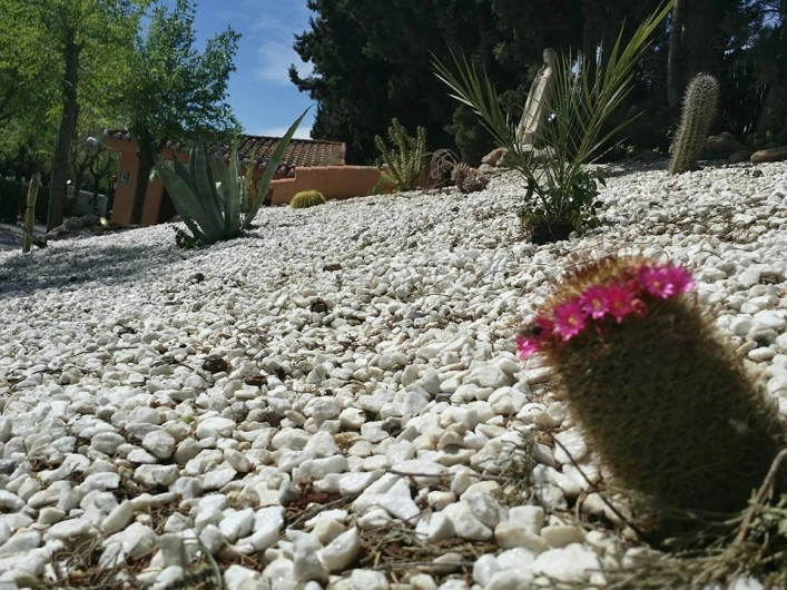 zobacz camping - zdjęcie 13