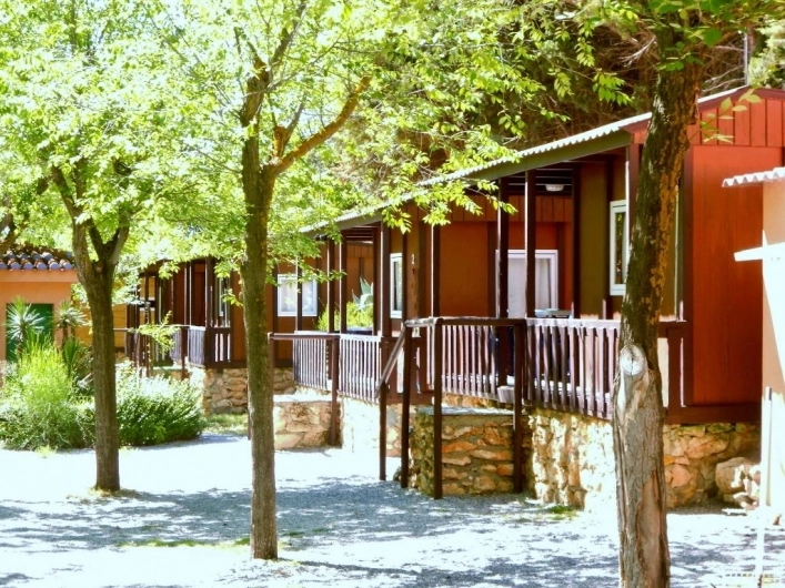 zobacz camping - zdjęcie 8