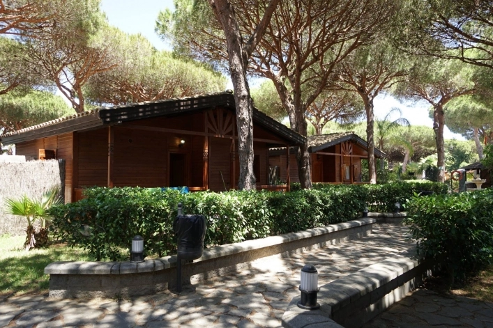 zobacz camping - zdjęcie 9