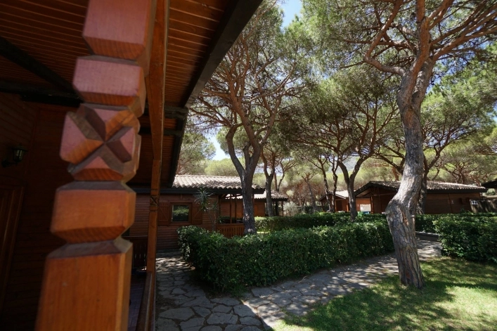 zobacz camping - zdjęcie 6