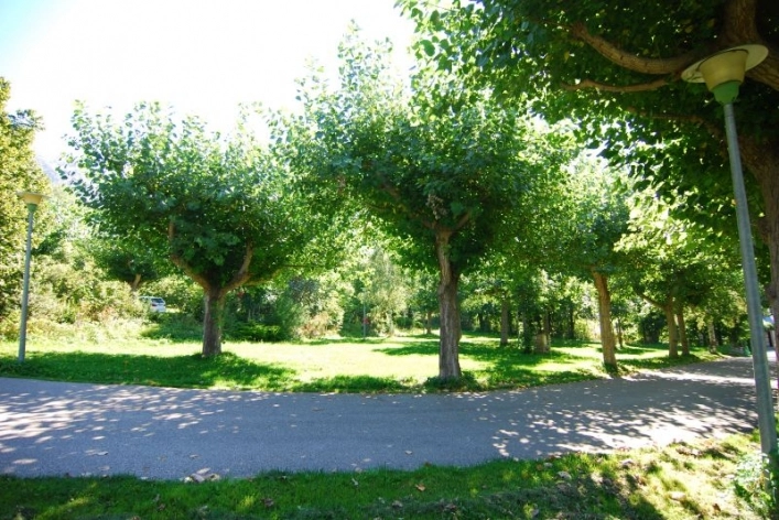 zobacz camping - zdjęcie 7
