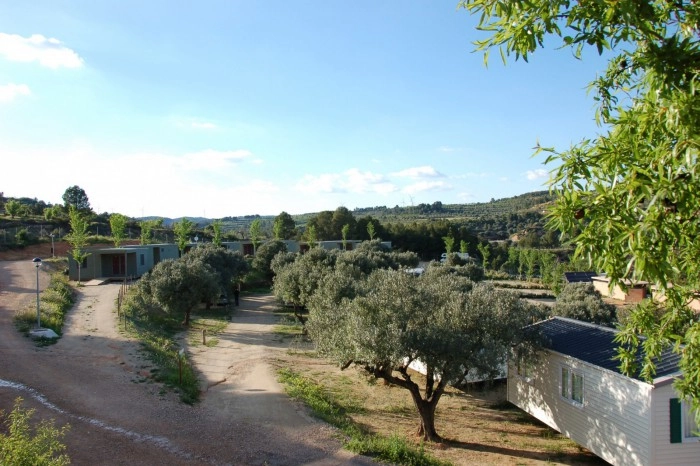 zobacz camping - zdjęcie 26