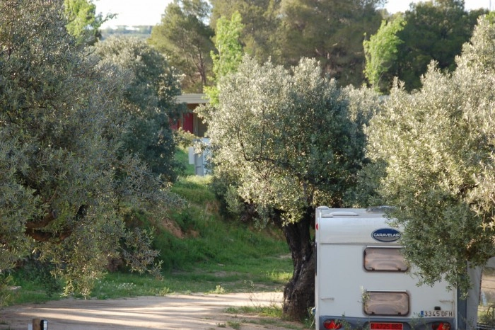 zobacz camping - zdjęcie 25