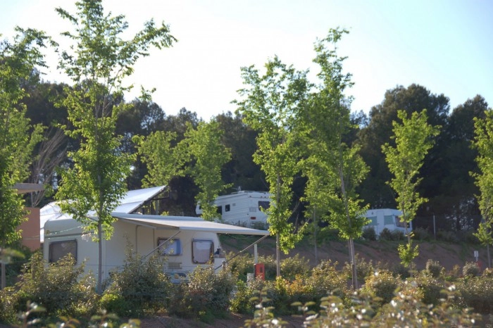 Camping Terra Alta - zdjęcie 4