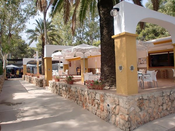 zobacz camping - zdjęcie 16