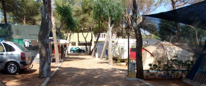 zobacz camping - zdjęcie 11