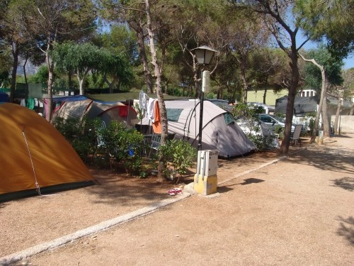zobacz camping - zdjęcie 9