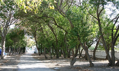 zobacz camping - zdjęcie 8