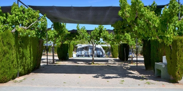 zobacz camping - zdjęcie 25