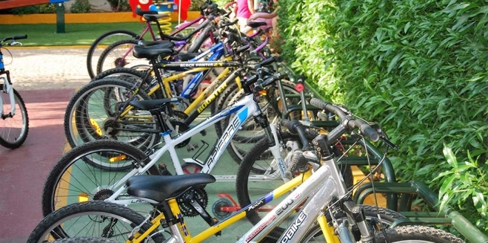 zobacz camping - zdjęcie 20