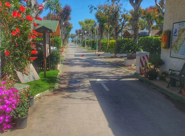 zobacz camping - zdjęcie 32