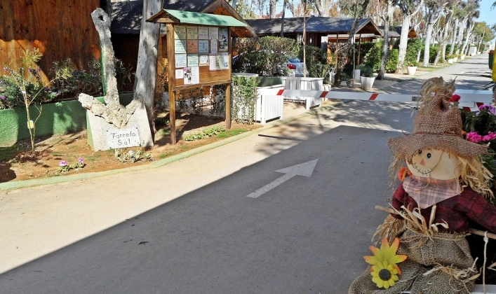 zobacz camping - zdjęcie 30